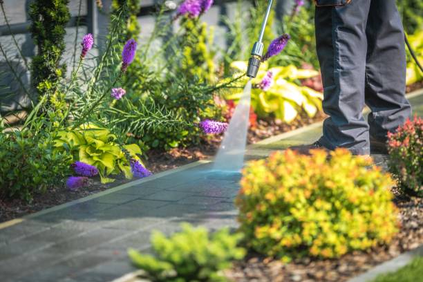 Best Pre-Holiday Cleaning  in Hughesville, MD