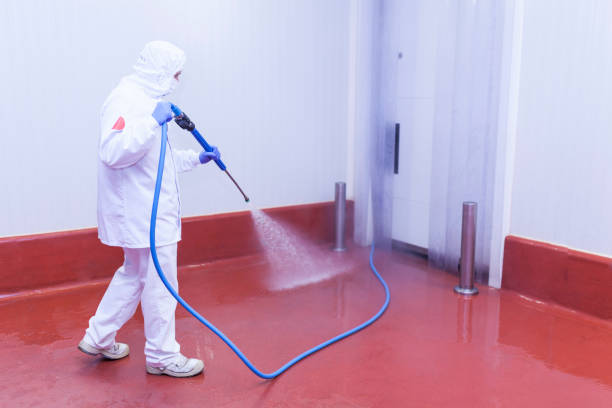 Best Post-Construction Pressure Washing  in Hughesville, MD