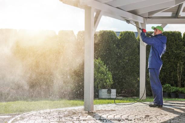 Best Driveway Pressure Washing  in Hughesville, MD