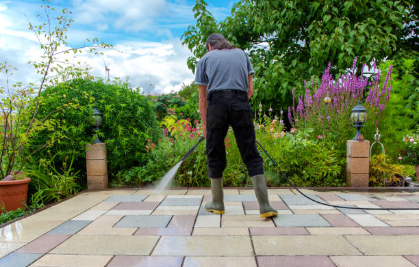 Best Sidewalk and Walkway Cleaning  in Hughesville, MD